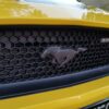 Mustang Emblem Pony - Black - Image 5